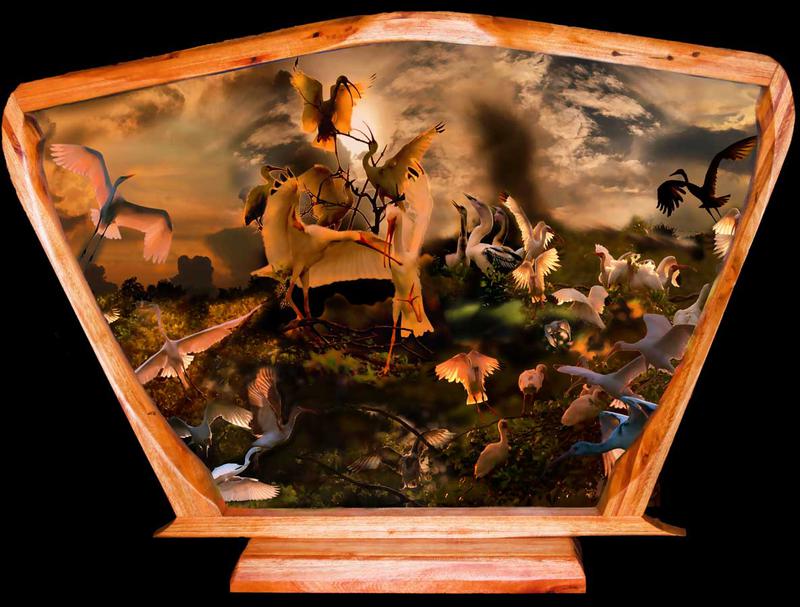 Open your imagination and dive into a Dream of the Everglades Through the Meir martin Lands and Imagination. ​