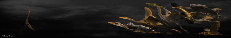 Imagine Great Blue Heron in Wakodahatchee