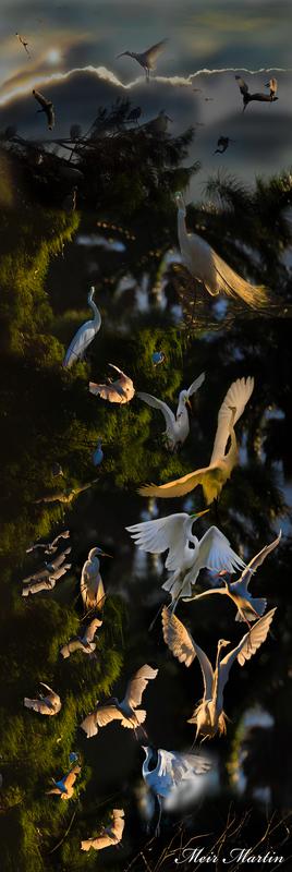 The MM-241 Mural artwork by Meir Martin. This beautiful piece captures many birds in nature and combines all of them in one stunning mural artwork. Hanging this artwork on your wall will not only show your passion for nature but also reflect your exquisite taste in home decor. It's a must-have for any nature lover.