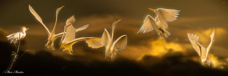 Meir Martin's Artwork 20x60" Sold as Original 