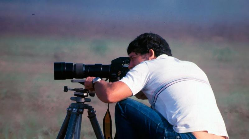 Israel 1984 capturing the biggest collection of Birds of Israel 375 species captures in 4 years. 