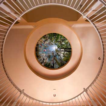 You will be amazed how artwork like this has been created.