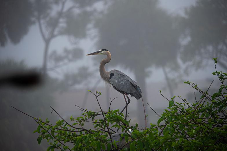 How to create Artwork from digital images 