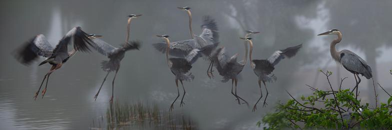 How to create an Artwork MM-737 size 20x60" 