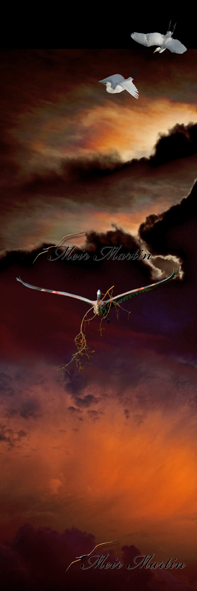 In the canvas vast, where dreams take flight, Mural artwork weaves its wondrous light, Big birds open wings, majestic and free, White birds soaring above, a sight to see.  As the sunset paints the sky in hues, Blue turns to red, a captivating ruse, With heavy clouds, the canvas is kissed, A masterpiece of nature's eternal tryst.  In the twilight's embrace, they glide, Wings unfurled, a graceful pride, Amidst the painted skies so grand, They soar, they dance, they understand.  A symphony of colors, a celestial dance, In this mural of art, they find their chance, To captivate hearts and souls anew, With every stroke, a dream comes true.  So let us marvel at this artwork bold, Where big birds and white birds unfold, In the canvas of imagination's might, A masterpiece of nature's flight.