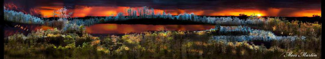 0702-- Everglades In the Blue Moon Sold as Original