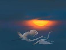 Meir Martin Artwork in customer Home